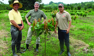 Cacao Nacional